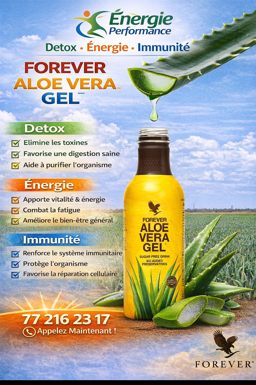 Pulpe d’Aloe vera Gel
